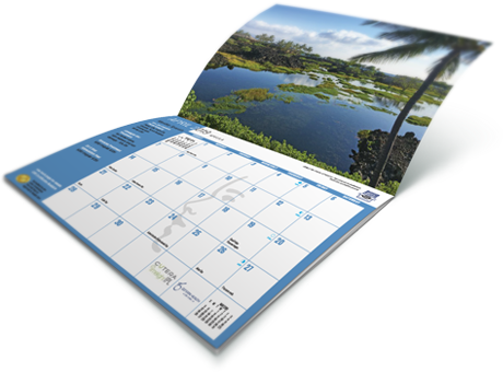dr-hiranaka-calendar